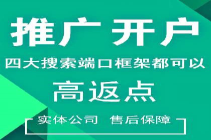 百度推广代理商成功案例：某行业巨头背后的推手